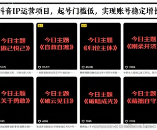 IPӪĿ 淨 ż ʵ˺ȶ