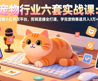 ������ҵ����ʵս�� ����С����˫ƽ̨ ����ֱ��ȫ��ͨ ѧ�������������3��+