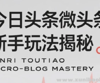 今日头条微头条新手玩法揭秘：每天高收益实操教程 轻松变现不踩坑