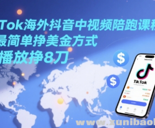 TikTok���ⶶ������Ƶ���ܿγ� TK���������ʽ 1�򲥷���8��